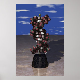 Poster ADN sur un socle