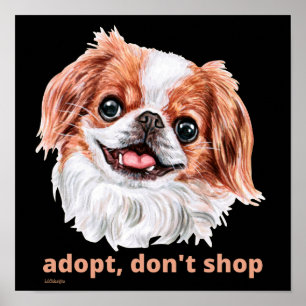 Poster ADOPT, NE SHOP (japonais chinois espagnol) chien m