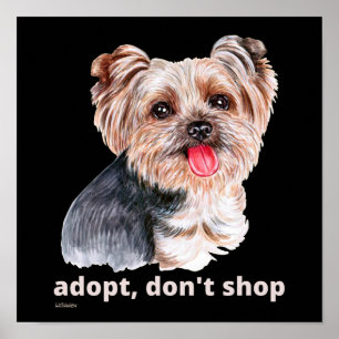Poster ADOPT, NE SHOP (Yorkshire Terrier) chien mignon