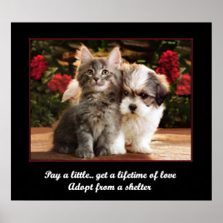 Poster Adopter un animal de compagnie