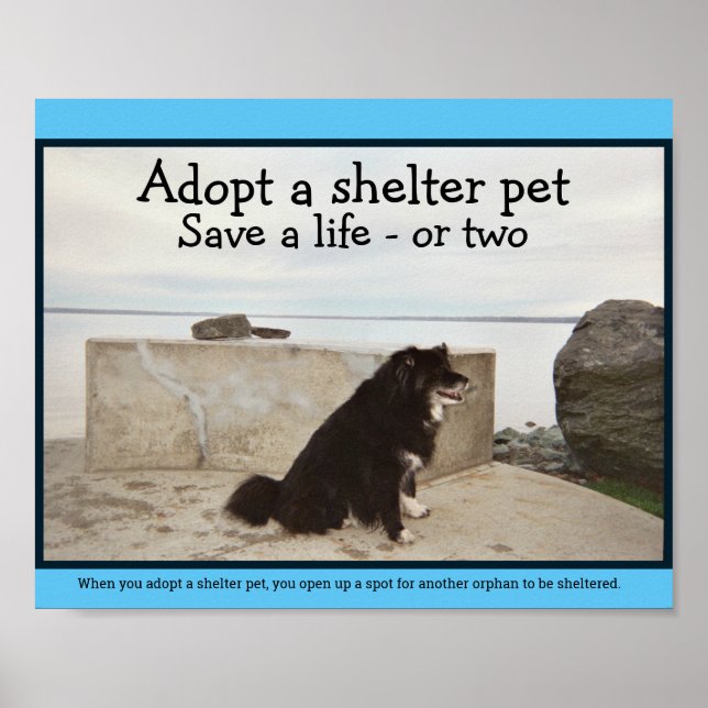 Poster Adopter un animal domestique (Devant)