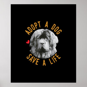 Poster Adopter un chien Sauver une Secourt de vie Terre-N