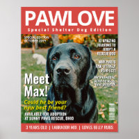 Adopter une couverture de magazine personnalisée p