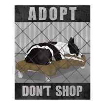 Adoptez, n'achetez pas