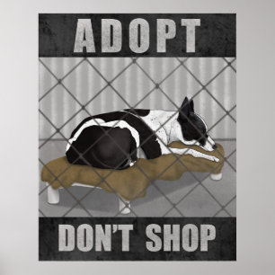 Poster Adoptez, n'achetez pas