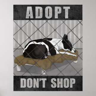 Poster Adoptez, n'achetez pas
