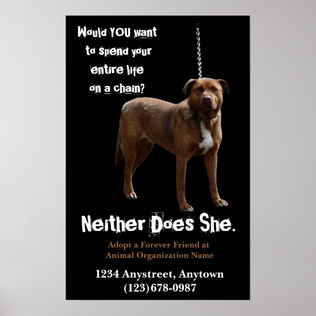 Poster Adoption et Secourt des droits des animaux (Devant)