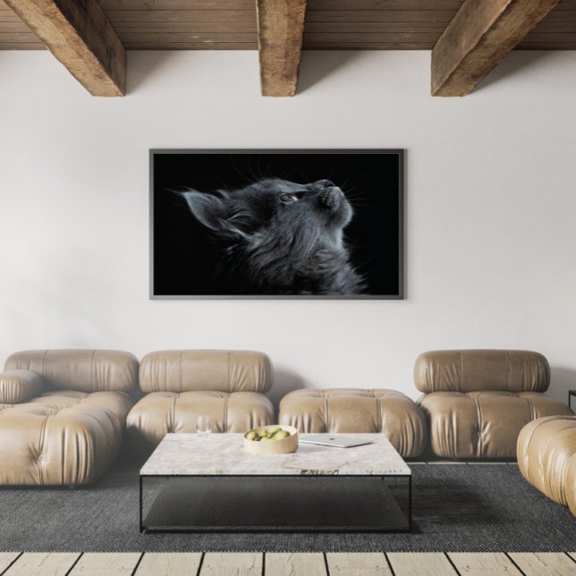 Poster Adorable chaton gris avec yeux verts (Créateur téléchargé)