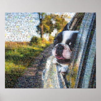 Poster Adorable chien accroché à la mosaïque de la fenêtr