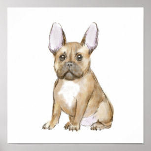 Poster Adorable chiot français bulldog
