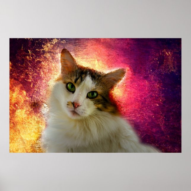 Poster Adorable Cute Calico Chat (Devant)