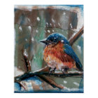 Adorable Eastern Bluebird Winter Art Imprimer