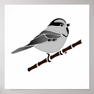Poster Adorable Mountain Chickadee Bird Illustrated