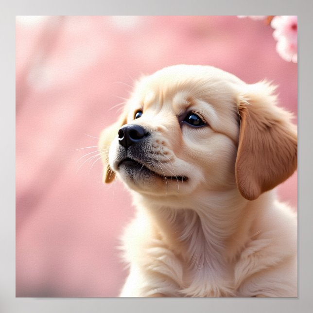 Poster Adorable Puppy Sitting Under Blooming Cherry Trees (Devant)