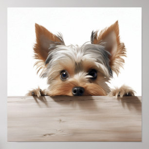 Poster adorable yorkshire terrier photographie