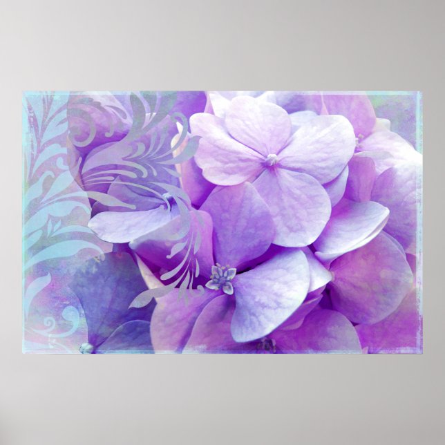 Poster Adoration, Hydrangée Violette (Devant)