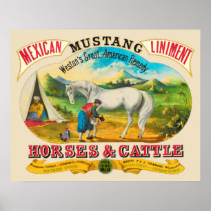 Poster Advertising de Mustang