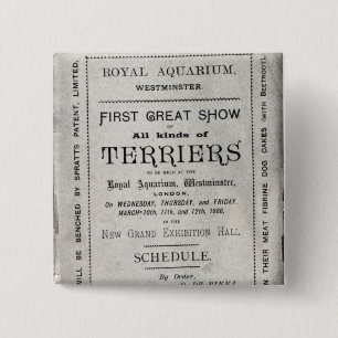 Poster advertising the Allied Terrier Club 2 Inch Square Button