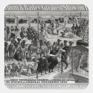 Poster advertising, 'The Barnum and Bailey Square Sticker