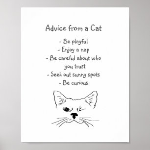 Poster Advice from Winking Cat Fun Animal Humor