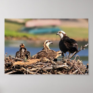 Poster affaire familiale