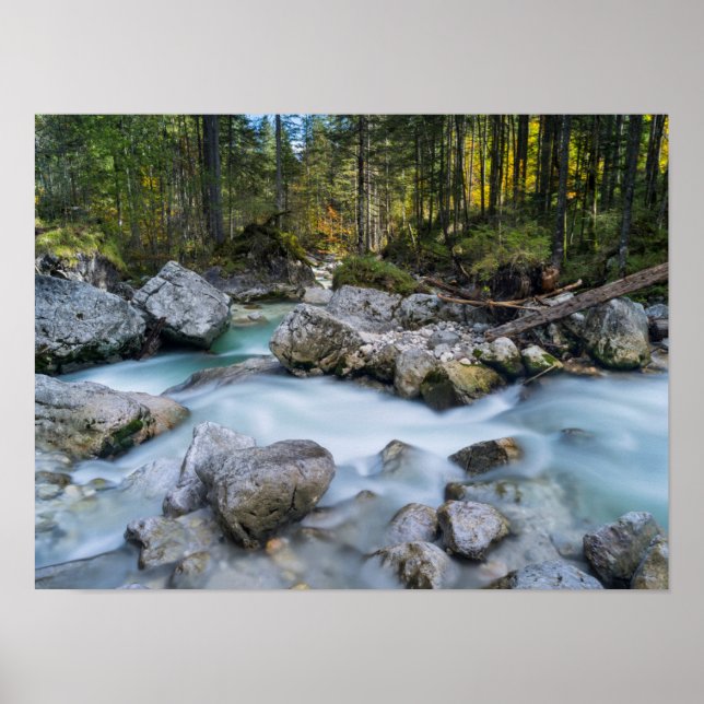 Poster Affaire Torrent Ramsauer (Devant)