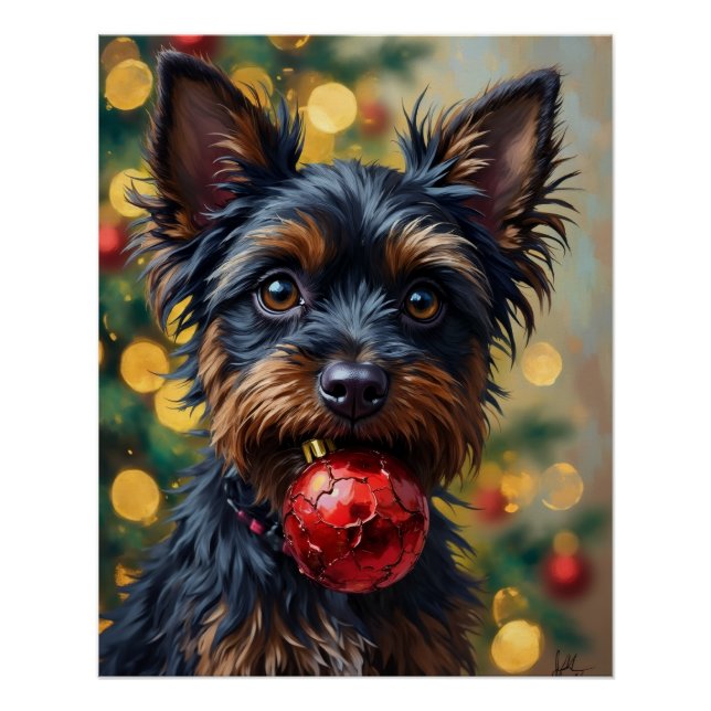 Poster Affenpinscher Dog with Christmas Ornament (Devant)