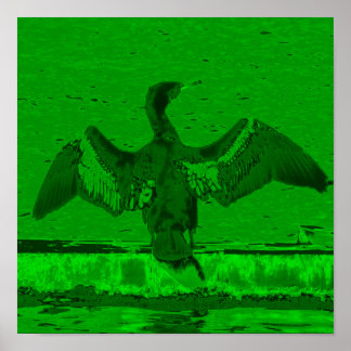 Poster Affichage du cormoran