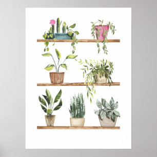 Poster Affichage plante pointé
