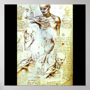 Poster Affiche-Classique/Cru-Leonardo da Vinci 13