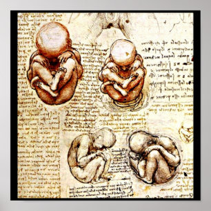 Poster Affiche-Classique/Cru-Leonardo da Vinci 9