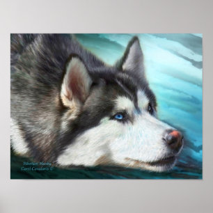 Poster Affiche/copie d'art de chien de traîneau sibérien