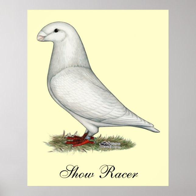 Poster Afficher le blanc de la course (Devant)