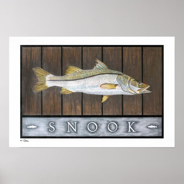 Poster Affiches, imprimés et cadres de Snook (Devant)