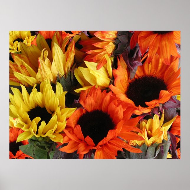 Poster Affiches, SONLEURS # 1 (Devant)