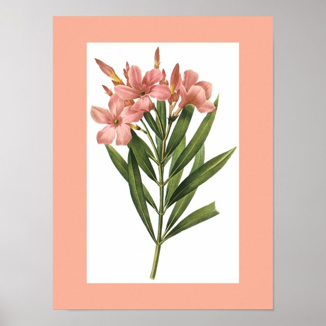 Poster Afficheur vintage 3 (Devant)