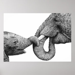 Poster africain Eléphant et veau
