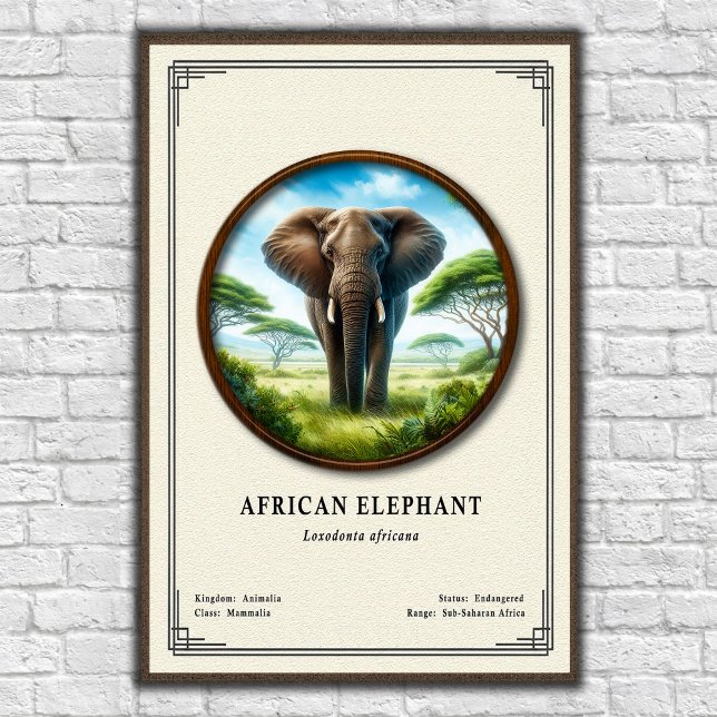 Poster African Elephant Zoology Series (Créateur téléchargé)