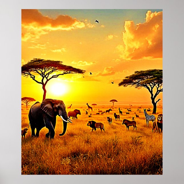 Poster African Sunset Safari Majesty Design (Devant)
