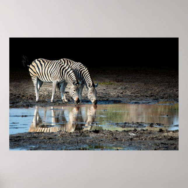 Poster Afrique,Botswana, Delta de l'Okavango, Davison Cam (Devant)