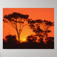 Afrique du Sud. Coucher de soleil africain.