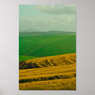 Poster Afrique du Sud Paysage rural Champs de canola