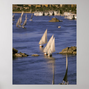 Poster Afrique, Égypte, Haute-Égypte, Assouan. Feluccas