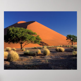 Poster Afrique, Namibie, Parc Namib-Naukluff, Sossosvlei