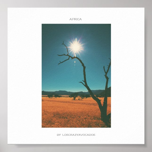 Poster Afrique Savannah Arbre en Herbe Voir l'affiche Pan (Devant)