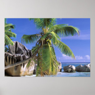 Poster Afrique, Seychelles, île de La Digue. Granite