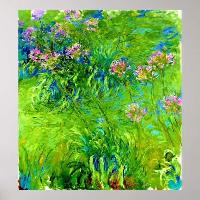 Poster Agapanthus par Claude Monet (Devant)