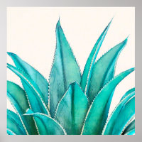 Agave