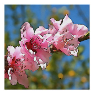 Poster Agrandir l'arborescence de la pêche Blossom noir O