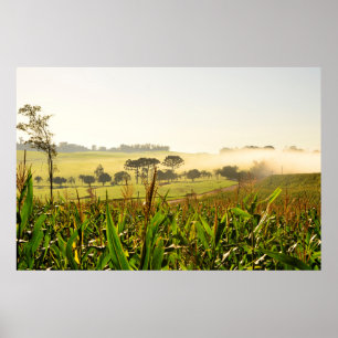 Poster Agriculture Brésil